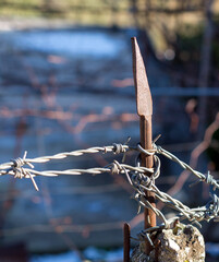 Composition with a metallic fence. Barbed wire, rusted iron spike that has the shape of an arrow....