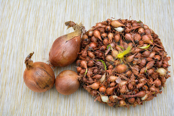 Small bulbs of onions for planting in assortment
