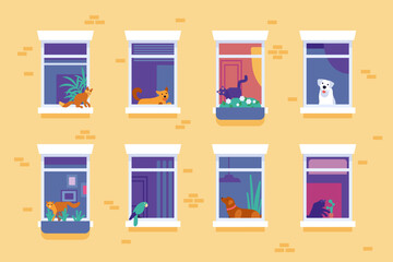 Pets in windows of house. Residential building facade. Cat or dog sitting on the windowsill. Parrot inside room and looking outside. Domestic animals. City architecture. Vector concept