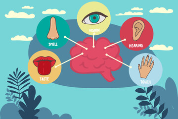 Five human senses line icons set. Vision, smell, hearing, touch, taste icons. Human sensory organs. Eye, nose, ear, hand, mouth icon set.