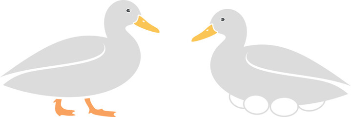 Duck logo. Isolated duck on white background. Bird