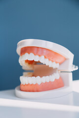 Stomatology concept, partial portrait of girl with strong white teeth looking at camera and smiling, fingers near face. Closeup of young woman at dentist's, studio, indoors