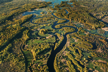 Aerial View Green Forest Woods And River Landscape In Sunny Spring Summer Day. Top View Of Nature, Bird's Eye View. Trees Standing In Water During Spring Flood floodwaters. woods in Water deluge