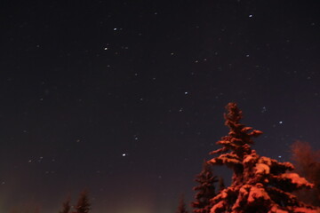 Fototapeta premium Stars in the sky