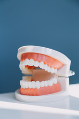 Stomatology concept, partial portrait of girl with strong white teeth looking at camera and smiling, fingers near face. Closeup of young woman at dentist's, studio, indoors