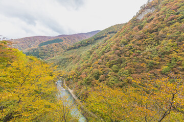 宮城県　鳴子ダムの風景
