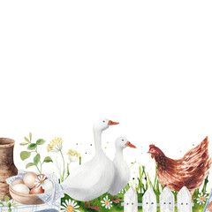 Watercolor hand drawn goose. Farm illustaration