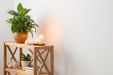 white home interior with houseplants on wooden shelf