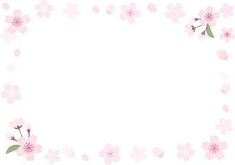 Obraz na płótnie Canvas 綺麗でかわいい桜のフレーム（透過）