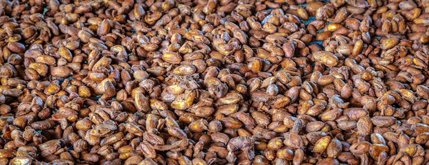 Fresh fermented cocoa beans are dried in the sun to make chocolate.Top view