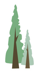 Tall coniferous trees with green needles crown for forest landscape. Vector illustration isolated design