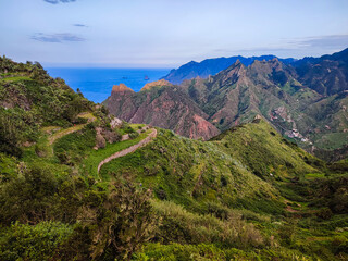 Fototapeta premium Paesaggi dello stupendo parco rurale di Anaga fotografati dai sentieri che lo attraversano. Isola di Tenerife, Canarie