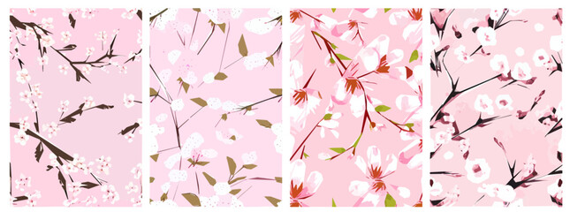 Cherry Blossoms Sakura flowers on pink background