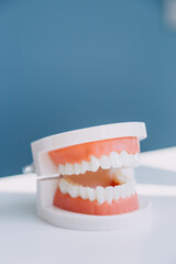 Stomatology concept, partial portrait of girl with strong white teeth looking at camera and smiling, fingers near face. Closeup of young woman at dentist's, studio, indoors