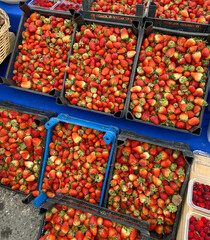 Freshly picked strawberries in the market.