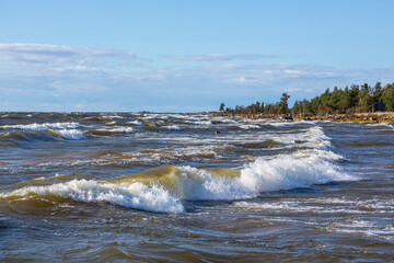 A Stormy Day