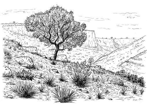 Drawing of mountain landscape of southern Sicily - black and white illustration