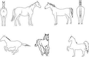 set of horses