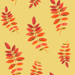 Watercolor seamless hand drawn pattern with red rowan leaves