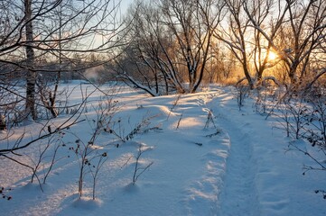On a winter path on the shore of a frozen lake