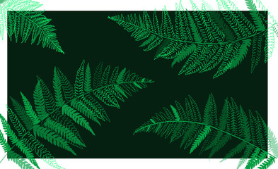 Forest ferns, Filicophyta illustration beauty pattern nature card seamless background. Green line drawing jungle mood background garden