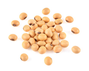 Dried soya beans on white background