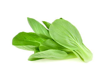 Bok choy vegetable isolated on the white background.