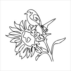 Sunflower vector illustration. Bird on a flower. A sparrow sits on a sunflower. Children's coloring book with nature. Botanical print.