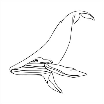 recommend clip art: Drawing of a whale, minimalism. Whale logo. Killer whale tattoo sketch. Coloring page sea dweller. Underwater inhabitant, blue whale. Vector illustration.