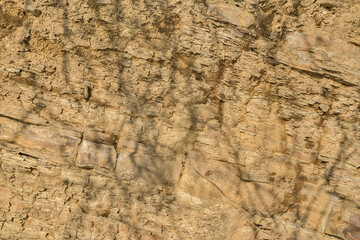 Sedimentary layers of an eroded seashore closeup as natural background