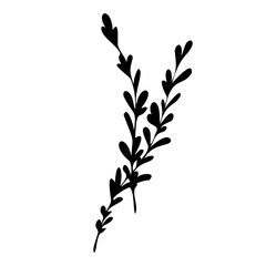 Abstract blade of grass vector. Twig silhouette. Decorative flower for compositions. Black and white graphics of botany. Twig with leaves vector.