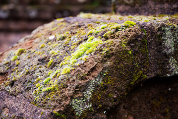Old stone construction covered with green moss