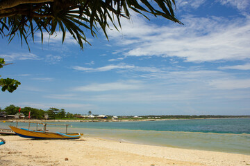 Fototapeta na wymiar Beach with palm trees and a boat