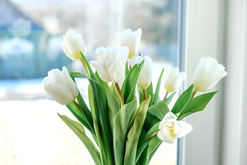 White tulip flowers on a home interior background near window. Sunny spring. Side view of beautiful bouquet. Valentines day, Mothers day, Womens day, birthday gift. Text place. Greeting card. Decor