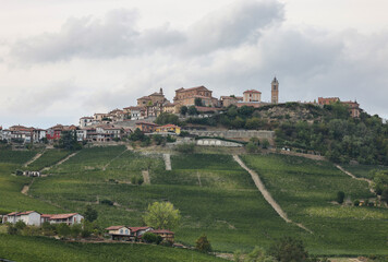 Langhe vineyards near La Morra, Unesco Site, Piedmont, Italy