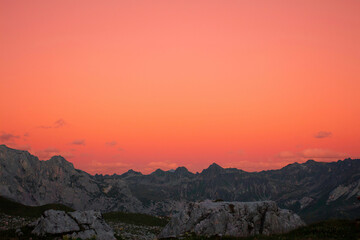 Obraz premium sunny2