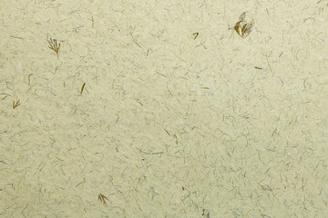 Green kraft paper texture, Abstract background high resolution.