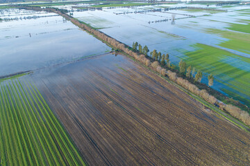 aerial view of flooded agricultural fields, climate change concept