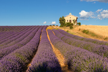 Naklejka na ściany i meble Summer in Provence with lavender and wheat fields. Entrevennes chapel in the Alpes-de-Haute-Provence, France