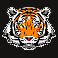 cool tiger head vector illustration.