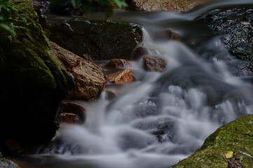 自然の中を流れる川の清流