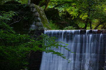 自然の中を流れる滝