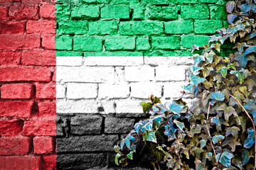 UAE grunge flag on brick wall with ivy plant