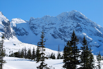 Tatry, góry, zima, śnieg, dolina, TPN, krajobraz,  panorama,