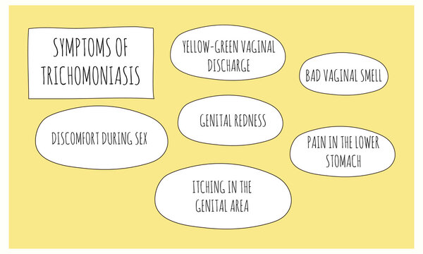 symptoms of Trichomoniasis.  Vector illustration for medical journal or brochure. 