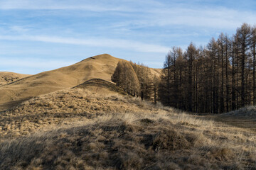 The Ridge of the Dog, Baiului Mountains, Romania 