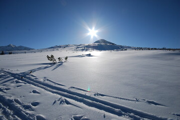 Tatry, góry, zima, śnieg, dolina, TPN, krajobraz,  panorama,