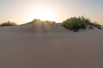 Dünen von Corralejo Fuerteventura