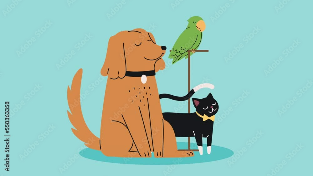 Canvas Prints dog with cat and parrot animation