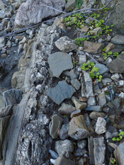 stones